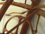 Wooden Wall Clock closeup-3